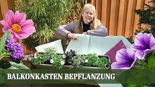 Balkonkasten Bepflanzung für den Sommer  Teil 1 Sonniger Standort [upl. by Busch]