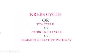 Oxidative decarboxylation of pyruvate and Krebs TCA cycle [upl. by Yerahcaz930]