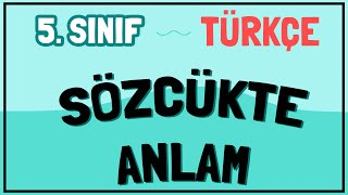 5 Sınıf Türkçe  Sözcükte Anlam Gerçek Mecaz Terim Genel ve Özel Anlam [upl. by Ahcsim]