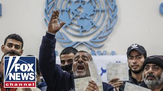 Nations halt funding for UN relief group over alleged Hamas involvement [upl. by Ahsercal]