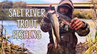 Arizona Salt RiverTrout Fishing [upl. by End]