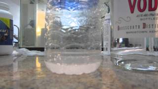 Mixing Praziquantel Powder with Vodka to deworm Aquarium Fish [upl. by Etnaid]