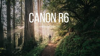 Hiking with Canon R6  RF 16mm f28  Cinematic  Silent Photography in Oregon Coast [upl. by Nosyerg]