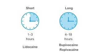 Getting familiar with anesthetics [upl. by Yelsha801]