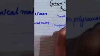 gram negative  gram positive bacteria  difference  comparison  matric amp inter biologybacteria [upl. by Cooperman]