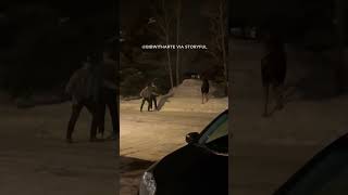 Wild moose charges man who ignored locals warnings [upl. by Ytissac]