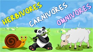 Herbivores Carnivores and Omnivores for kids  Animals Eating Habits with example [upl. by Ahsenit]