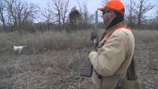 Using the Garmin Alpha E Collars for Training Bird Dogs [upl. by Mirelle399]