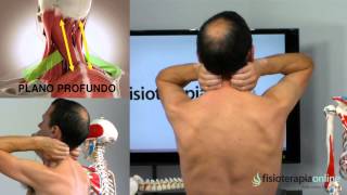 Tratamiento dolor en el cuello y los hombros  Fisioterapia Bilbao [upl. by Lettie]