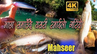 Fishing cooking and camping in Nepal  Mahseer Fishing video  Rochak Multimedia  Lure Fishing [upl. by Ohcirej]