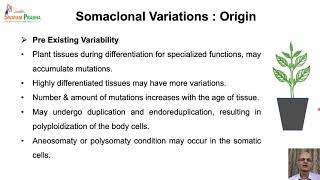 Somaclonal Variations [upl. by Ernaline]