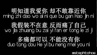 ★ PINYIN LYRICS  龚芝怡 Gong Zhi Yi  明知我爱你 Ming Zhi Wo Ai Ni ★ [upl. by Straus714]