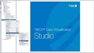 TIBCO Data Virtualization in Energy [upl. by Nosnevets]