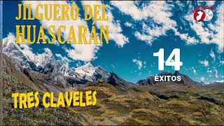 Jilguero del Huascarán  Tres Claveles Visualizer Oficial [upl. by Enellij]