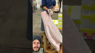 Huge Frozen Tuna Cutting food seafood tuna japan [upl. by Siblee]