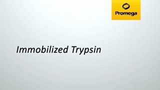 Immobilized Trypsin [upl. by Aibonez711]