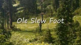 Ole Slew Foot  Johnny Horton [upl. by Egwin]