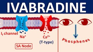 Ivabradine in Heart Failure  Mechanism side effects interactions amp uses [upl. by Biddle]