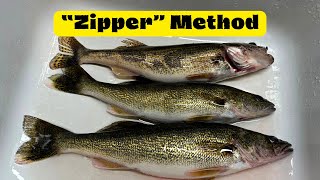 The BEST Technique for Filleting Walleye  Boneless quotZipperquot Method [upl. by Juline]