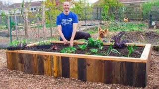 How to Build a RAISED BED Using PALLETS FREE Backyard Gardening [upl. by Boniface612]