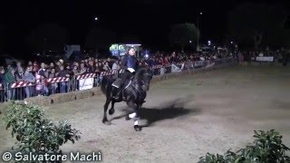 G Castellana amp M De Masi  Gran galà equestre 2016 [upl. by Whiffen]