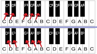 Sharps and Flats Explained  Piano Lessons For Beginners [upl. by Troc]