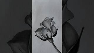 How to draw Rose easy 🌹🌹😍easy drawing shorts rose drawing [upl. by Dodson]