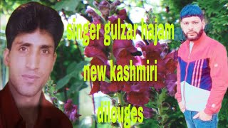 singer gulzar hajam new Kashmiri dilouges [upl. by Oaks]