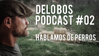 Podcast 02  Hablamos de perros [upl. by Sheba]