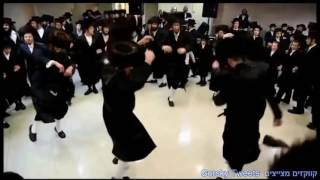 Hasidic Jews Dance Kayfuem [upl. by Essyla995]