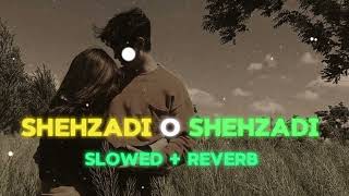 shehzadi o shehzadi odia song slowed and reverb  lofi slowedandreverb odialofisong odialofi [upl. by Gillett]