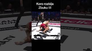 CO ZA NOKAUT 🤯 KORO vs ZBUKU fame zbuku koro mma nokaut tiktok FAMEMMATV steprecords [upl. by Christen]