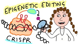 Can we edit the epigenome [upl. by Ripp]