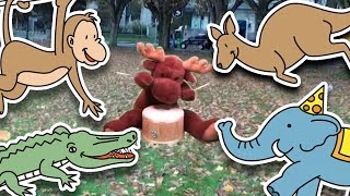 Jump Around  Animal Song for Kids [upl. by Sikko]