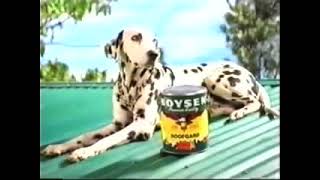 Boysen Roofgard Paint 1996 TVC REVERSED [upl. by Mercado]