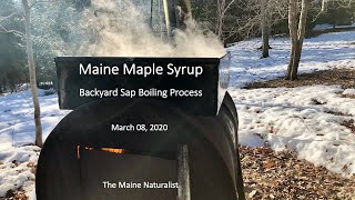 Maine Maple Syrup  Backyard Sap Boiling Process [upl. by Jamila]