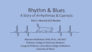 Rhythm amp Blues Part 1 Normal ECG [upl. by Jacky]