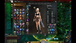 GW2│ Vindicator  My new Open World Build  GSStaff [upl. by Sicnarf]