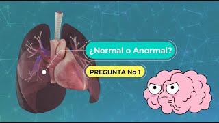 Sonidos Respiratorios Normales y Anormales  Guía Medica [upl. by Adore49]