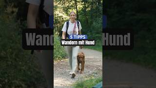 Das musst du bei deiner Wanderung beachten 🌲🐾 [upl. by Laven292]