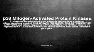 Medical vocabulary What does p38 MitogenActivated Protein Kinases mean [upl. by Erdnassak434]