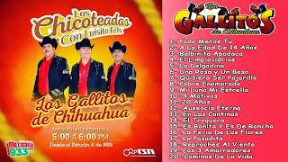 Gallitos de Chihuahua  Disco Completo Urique Chihuahua En Vivo [upl. by Kathie]