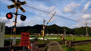 踏み切り Railway Crossing in Japan [upl. by Barri]