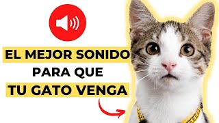 Mejor Sonido para Que tu Gato Venga GARANTIZADO✅ [upl. by Nagem]