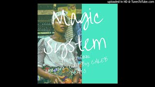 Magic System  Premier Gaou Amapiano Remix [upl. by Pippa580]