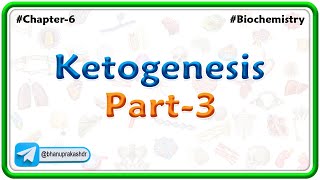 14Ketogenesis  part  3   Lipid Metabolism [upl. by Ahsirak]