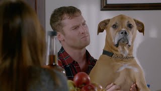 Letterkenny  Season 5 Opening  Watch how you speak on his name [upl. by Den]