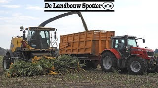 Mais hakselen 2018  Pereboom Paasloo  New Holland FR 550  MF 6616  7495  Case Puma 215 [upl. by Eillac]