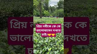 ভালোবাসার আর এক নাম হজরত মুহাম্মদ সল্লাল্লাহু আলাইহি ওয়াসাল্লাম। arabicviralvideoyoutubeshorts [upl. by Ebaj]