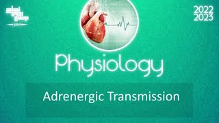 L8 Adrenergic transmission Physiology [upl. by Slosberg210]